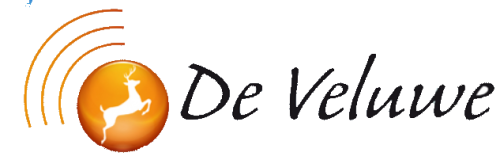 logo K&S Print
